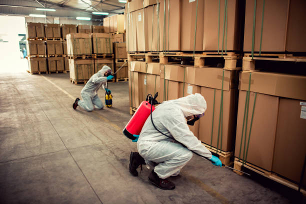 Best Rat Extermination Near Me  in Fairfield, OH