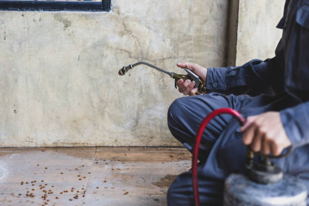 Best Residential Pest Control  in Fairfield, OH