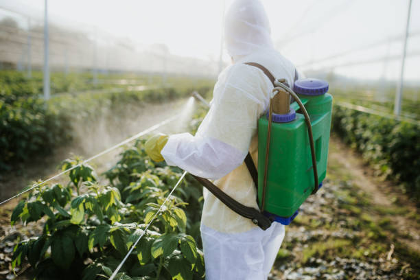 Best Local Pest Control Services  in Fairfield, OH